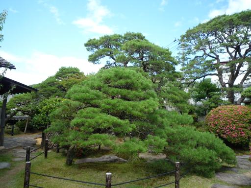 中の茶屋（清水菎展示館）-3